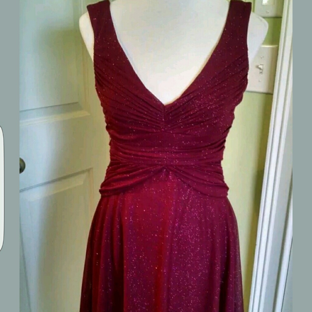 Alex Evenings Burgundy Sparkle Midi Dress